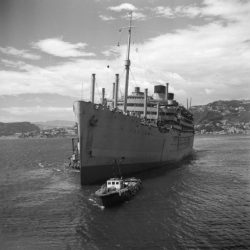 DominionMonarchWellington23011946